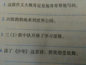 我的哥哥寫人抒情作文600字作文開(kāi)頭