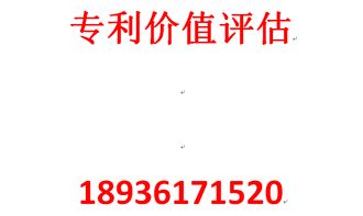 無形資產(chǎn)資產(chǎn)評(píng)估報(bào)告(無形資產(chǎn)評(píng)估報(bào)告（專利）)
