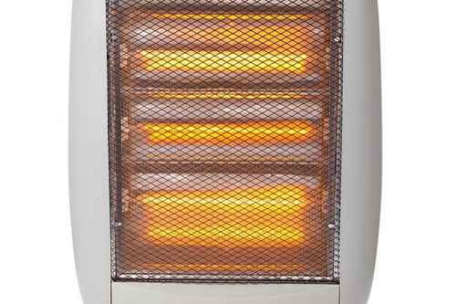 爬墻虎的作文的開頭