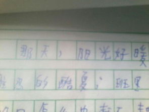 那一天陽(yáng)光好溫暖作文500字作文開(kāi)頭