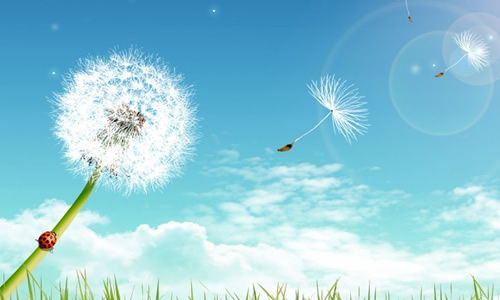 關于拼搏青春的作文開頭