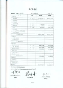 會(huì)計(jì)報(bào)表審計(jì)報(bào)告(會(huì)計(jì)報(bào)表審計(jì)報(bào)告)