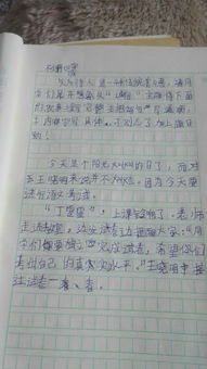 關(guān)于期盼誠信的作文600字作文開頭