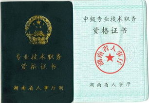 評中級職稱技術總結(評中級職稱技術總結)