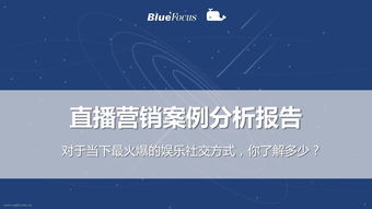 營(yíng)銷案例分析報(bào)告(紅牛營(yíng)銷案例分析報(bào)告)