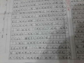 發(fā)現(xiàn)什么的作文600字作文開頭