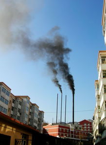 農村環(huán)境污染的調查報告范文(農村環(huán)境污染的調查報告)