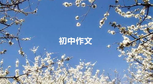 800用欲揚(yáng)先抑寫(xiě)人作文開(kāi)頭