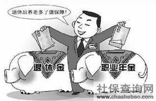補(bǔ)充養(yǎng)老保險(xiǎn)(補(bǔ)充養(yǎng)老保險(xiǎn))