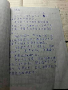 描寫父母愛(ài)的作文開(kāi)頭