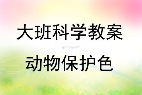 動(dòng)物保護(hù)色活動(dòng)反思(大班科學(xué)活動(dòng)《動(dòng)物保護(hù)色》教案)