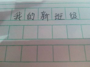 我和新班級(jí)的作文開(kāi)頭