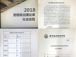 思政課教學實踐報告(思政實踐報告)