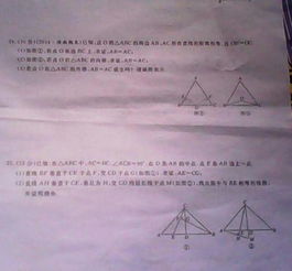 友誼為題作文600字作文開頭怎么寫
