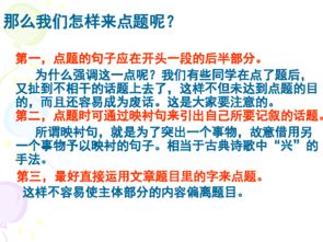 初中記事作文好開(kāi)頭和結(jié)尾