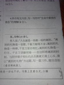 禮物小學作文600字作文開頭