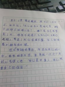 沒(méi)有把握好機(jī)會(huì)的作文開(kāi)頭