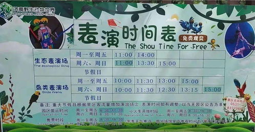 關于奇妙的旅行的作文開頭