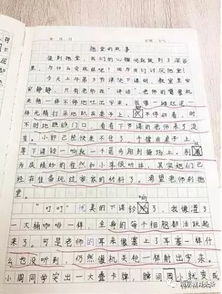 有關(guān)相遇的作文開頭