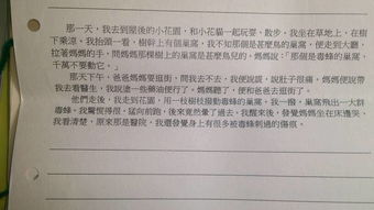 用森林實在是太重要了開頭寫篇作文