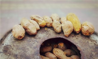 烤地瓜作文開頭