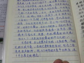 讓人驚艷的作文開頭關(guān)于父親