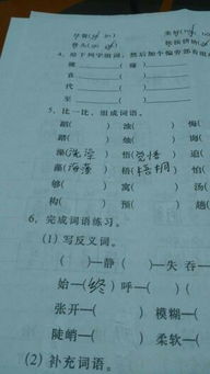 未來(lái)房屋作文開(kāi)頭結(jié)尾