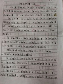 描寫幸福的我的作文開頭