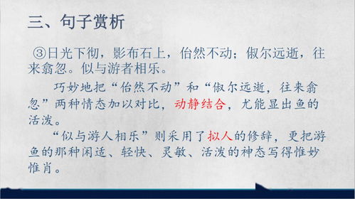 躬行實(shí)踐作文開頭