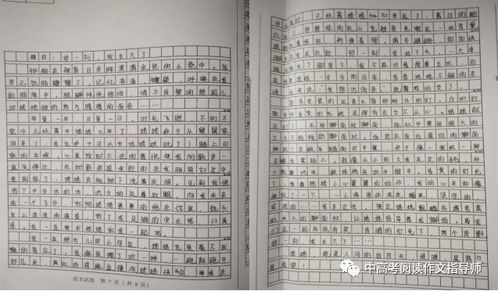 初中作文那一刻我長(zhǎng)大了開(kāi)頭