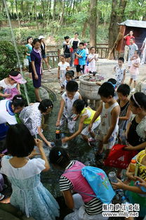 野外采風作文開頭