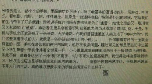 介紹周至的作文開頭