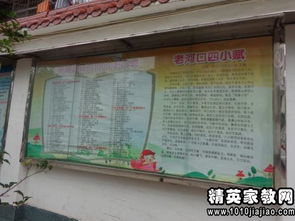 畢業(yè)聯(lián)歡會(huì)作文精彩開頭