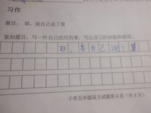 寫一件經(jīng)歷的事的作文開頭