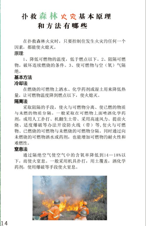 關于森林防火作文的好開頭