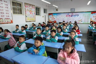 我校開學安全教育(我校開學安全教育)