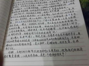 在這延學的日子里作文開頭