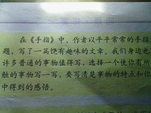 發(fā)現(xiàn)身邊的作文開頭
