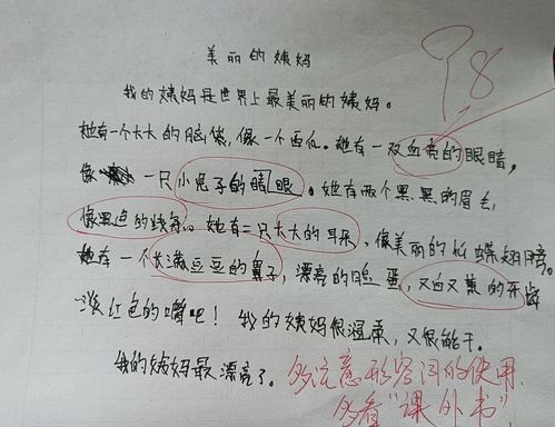 五一小姨結婚作文開頭