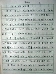 600感謝作文開頭結(jié)尾