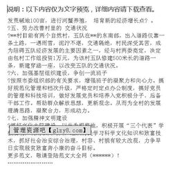 村調(diào)研報告()