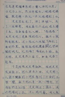 善待動(dòng)物作文開(kāi)頭