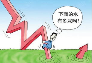 債券市場(chǎng)及其分類(話語(yǔ)信息及其分類)