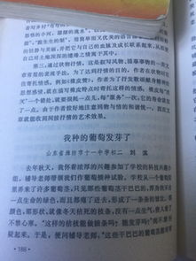 那次我選擇了堅持1000字作文開頭