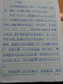 學校開運動會描寫團結(jié)的作文開頭結(jié)尾