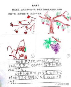 第一次經(jīng)歷作文開頭結(jié)尾