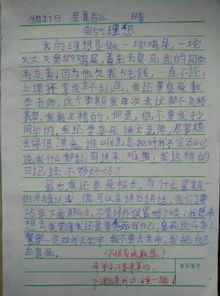 夢(mèng)想的拼圖作文開頭