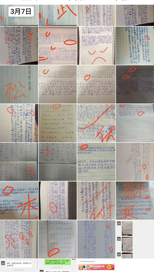 關(guān)于珍惜作文好開頭好結(jié)尾