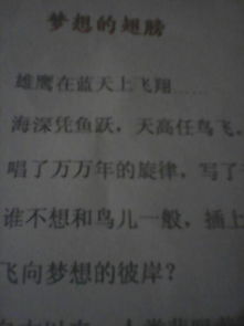 絕美作文開頭夢想