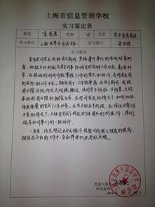 工程項目自我評價報告(工程項目自查報告)